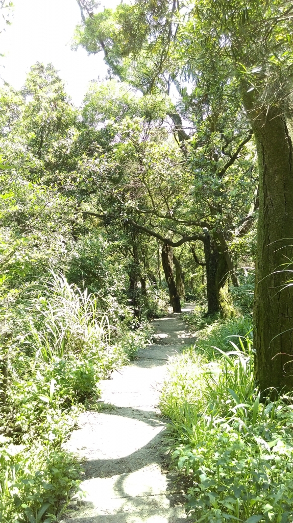太極嶺-五城山-文筆山105.05.13_51336