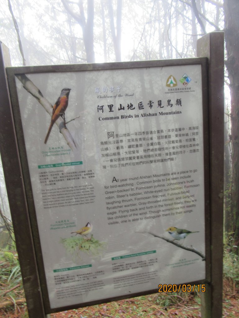 大塔山步道_907552