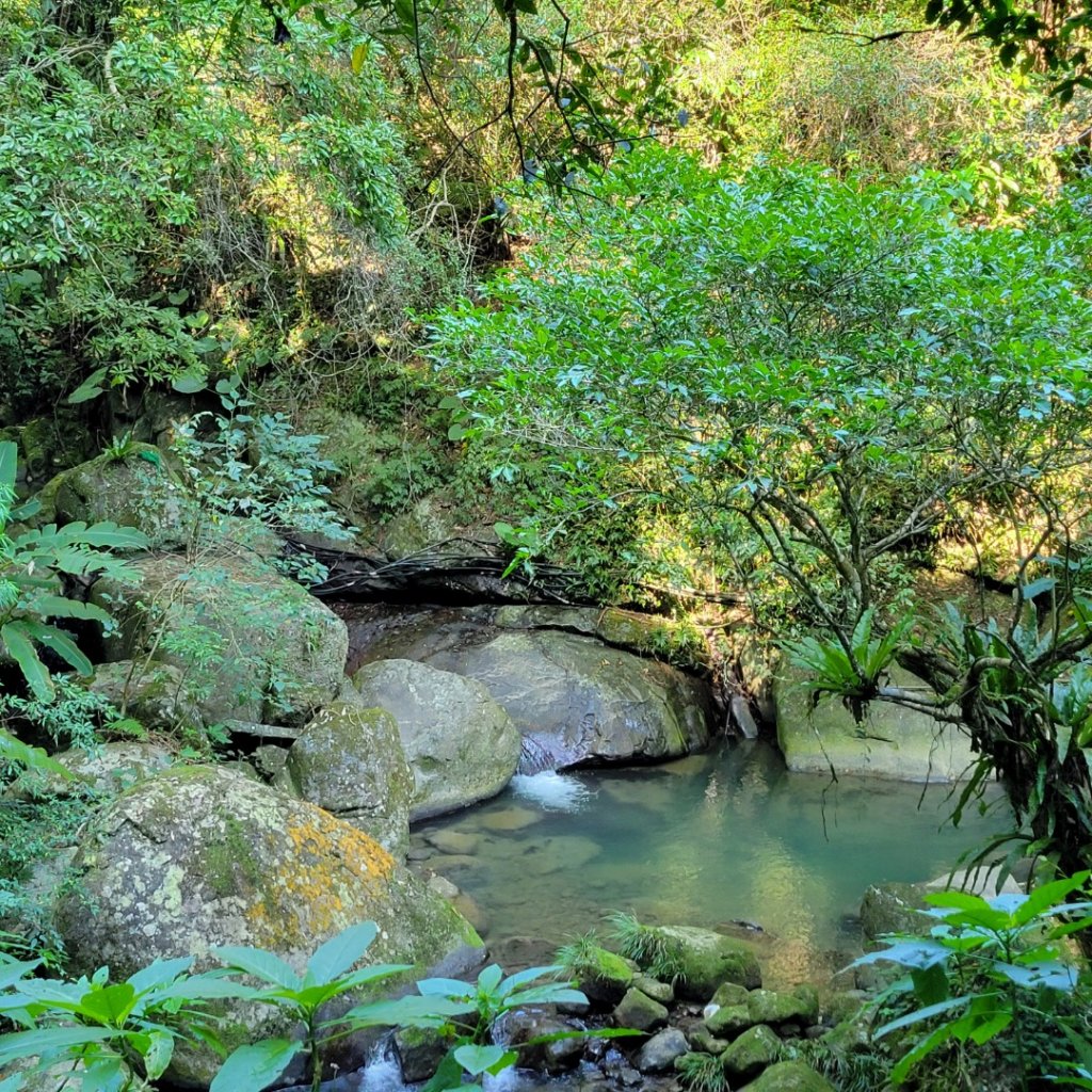 南坪古道、馬胎古道_1906786