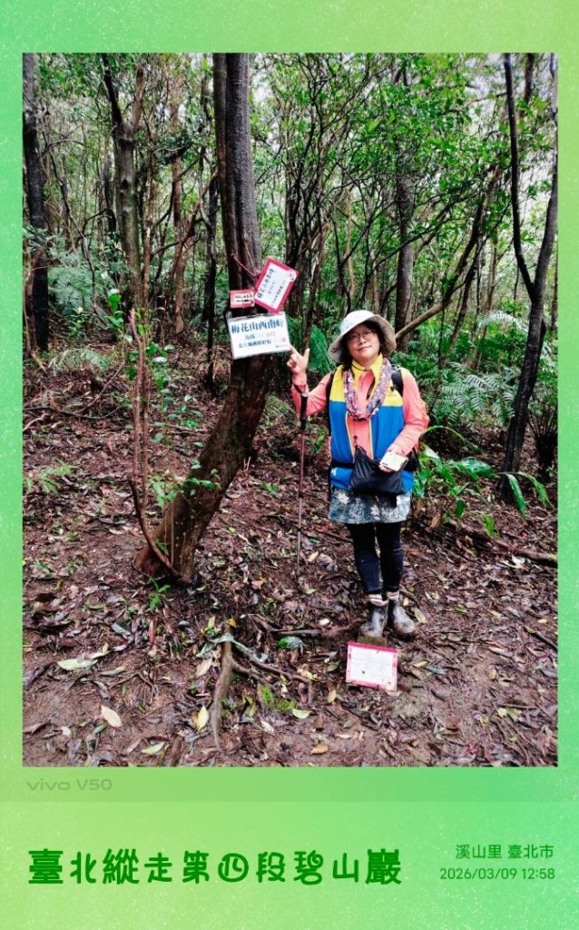 台北縱走第四段訪雙溪山 梅花山與西峰南峰西南峰 碧山_3012815