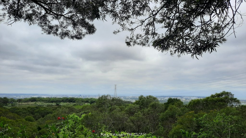 《苗栗》楓香林道｜頭份老崎古道（後花園步道）20250329_2748914