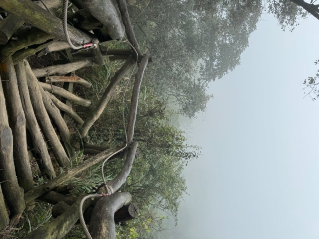 台中市北屯區、新社區交界頭嵙山，小百岳NO.41（2-1120）_2356815