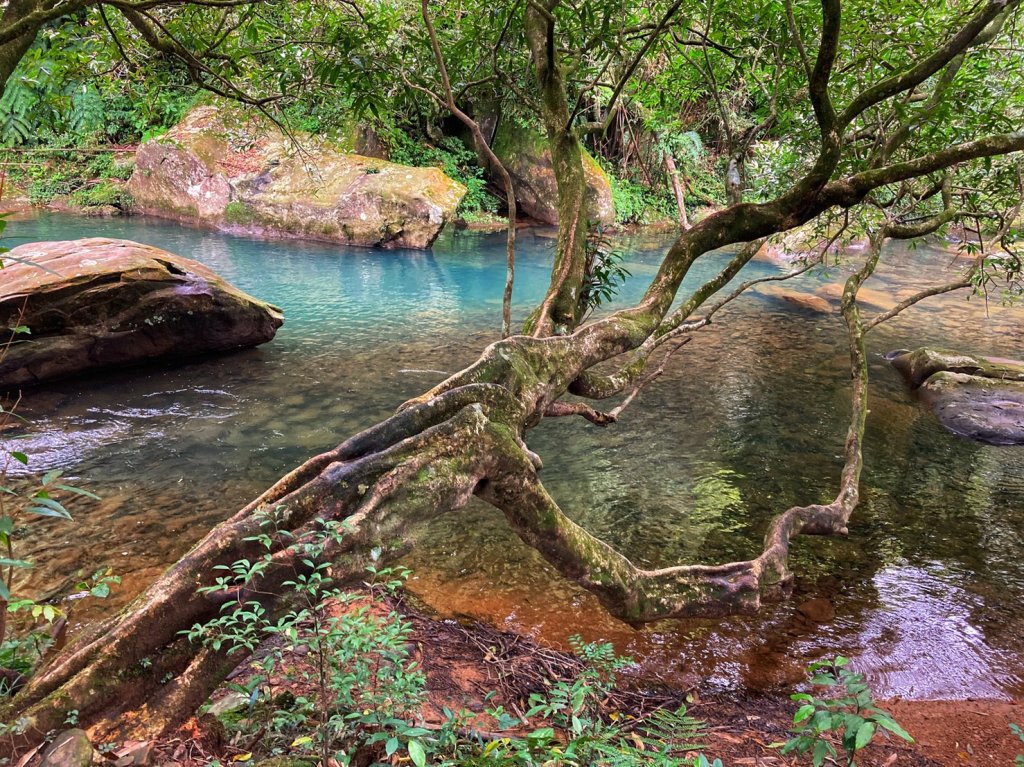 好美！想賴著不走..._1318581