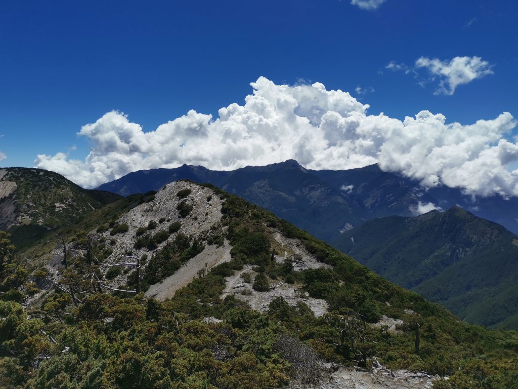 2022-07-21八大秀_1789351