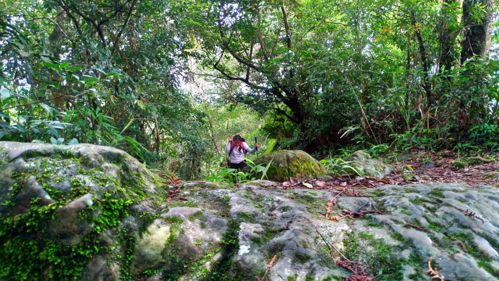 2019/06/02馬那邦山…珠湖線_597541