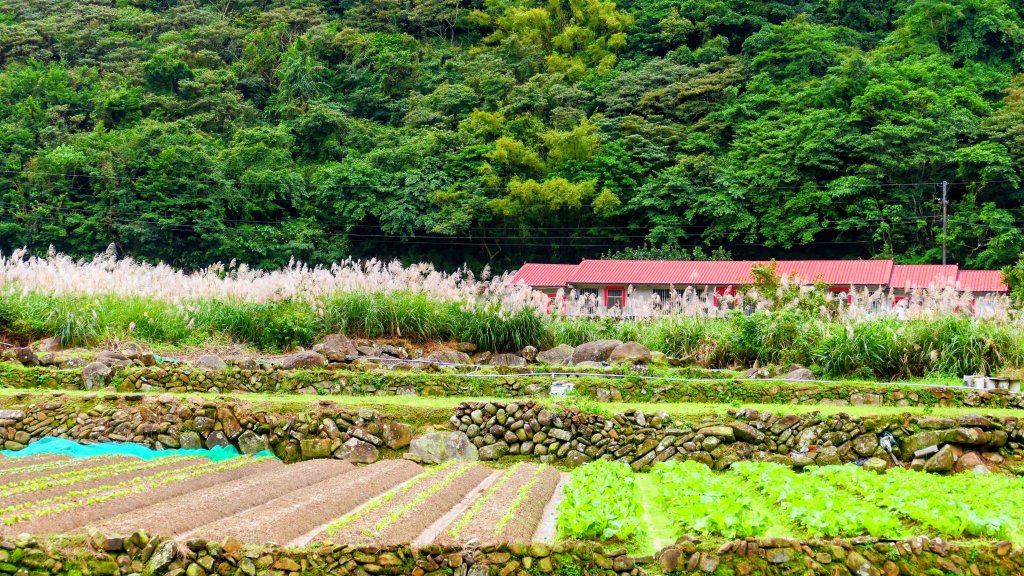 草嶺古道_2962487