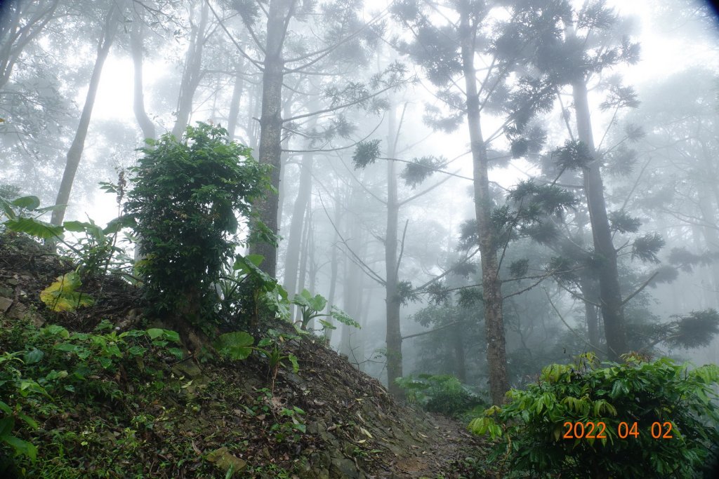 臺南 南化 刣牛湖山_1664313