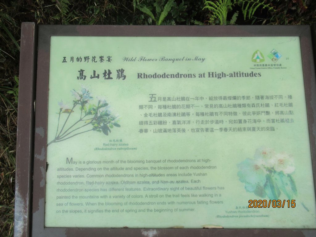 大塔山步道_907544