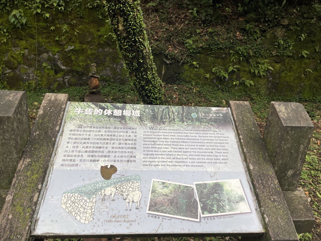 台北大縱走3_2769688