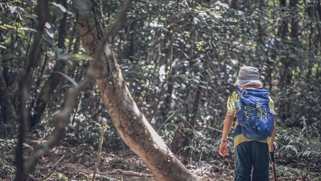 從新北走到宜蘭-坪溪古道 & 石空古道_1839450