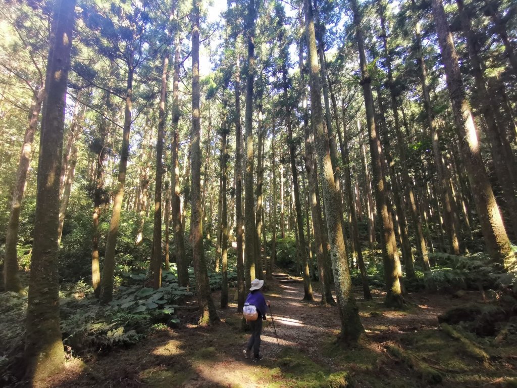 暢遊東眼山_859899