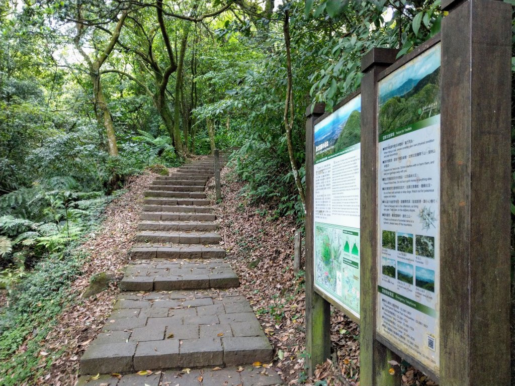 苗圃登山口上七星山(小百岳#2)連五峰_925142