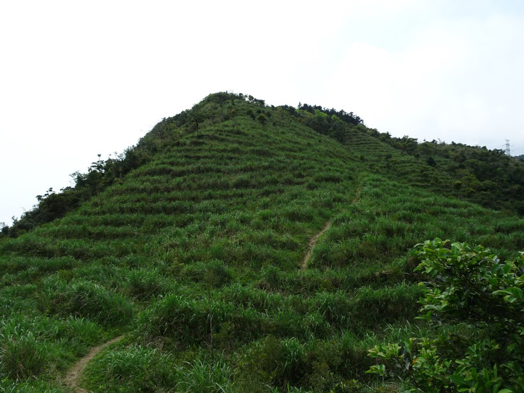 宜蘭小百岳4座~東門及羅東夜市美食之旅_1317647