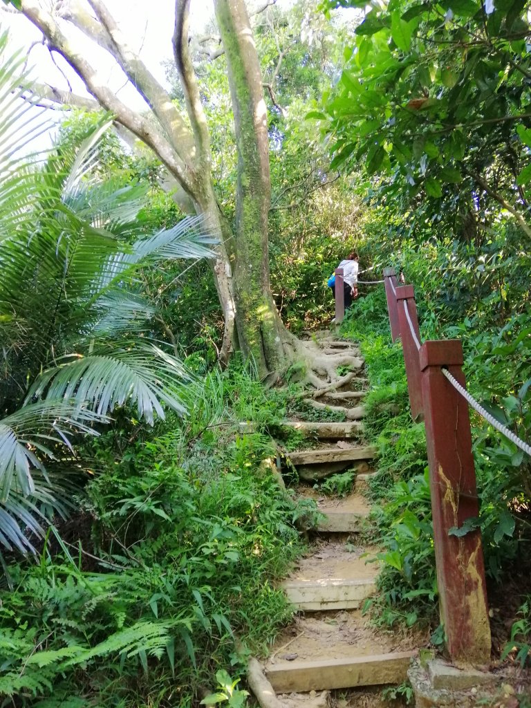 兩個山頭傻傻分不清 。  鳶山福德坑山_731623