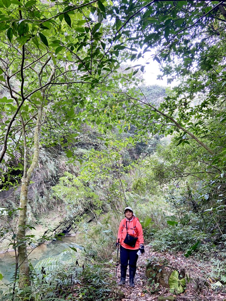 仙女瀑布、暗影山O行 2021.2.19_1276203