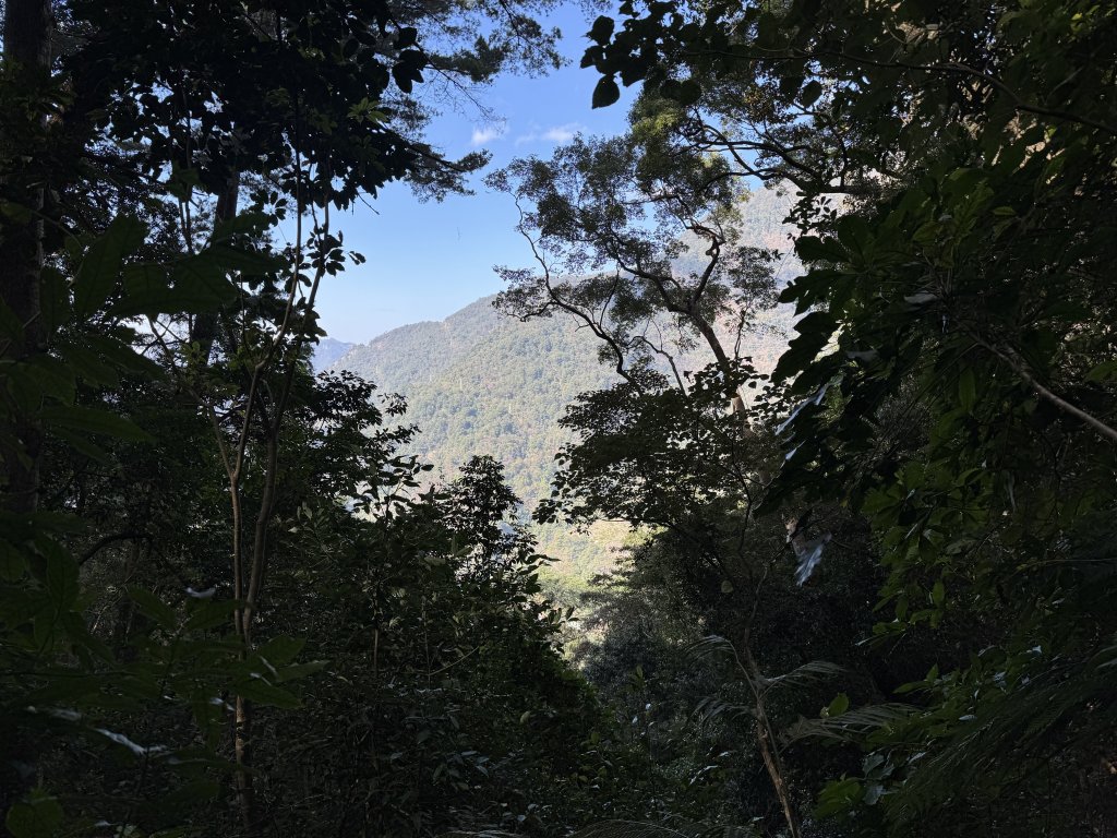 唐麻丹山封面圖