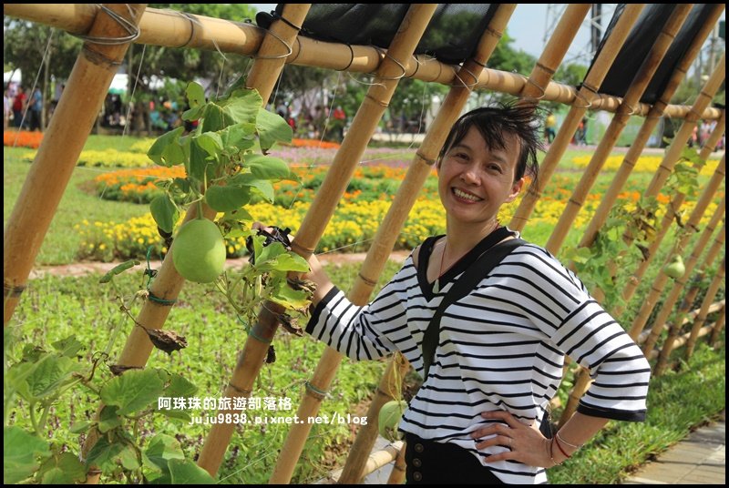 2019桃園農業博覽會_693330