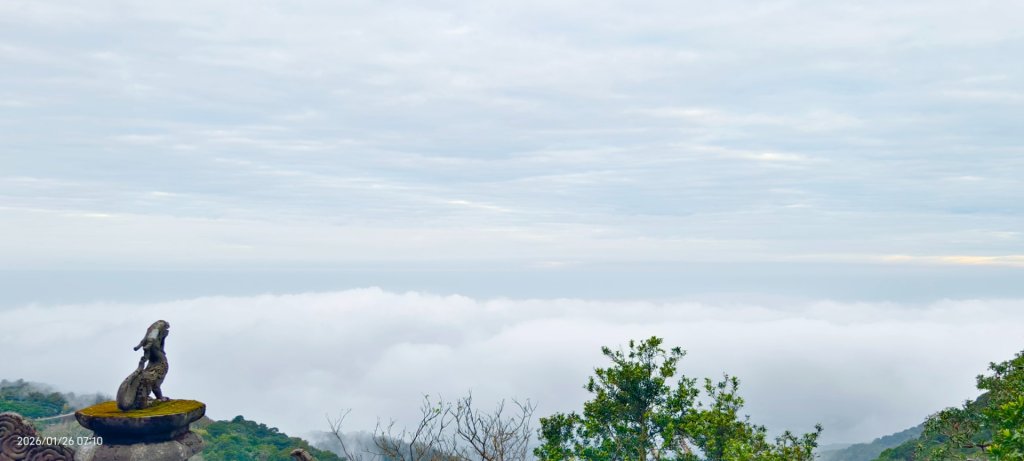 陽明山趴趴走追雲趣 #雲海 #琉璃光 1/26 認得幾個拍照地點共15個_2988317