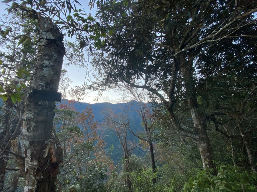 向天湖山_2604203