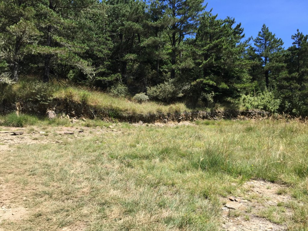 武陵四秀(2015四缺喀_2019喀桃)_689453