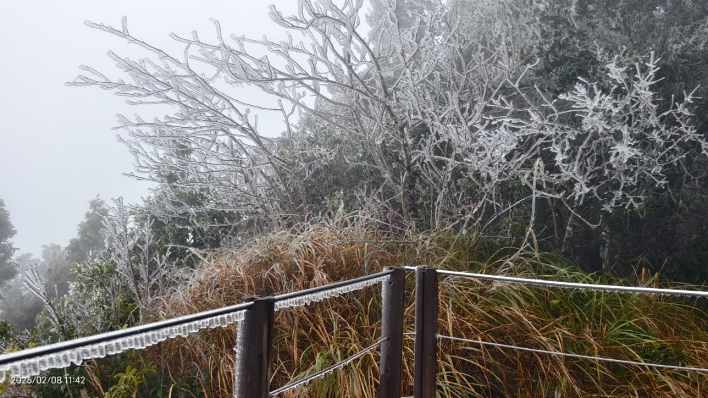 #霧淞 #雲海 #雲瀑 #霧虹 #太平山 #望洋山 #觀雲步道 #翠峰道路  2/8_2995329