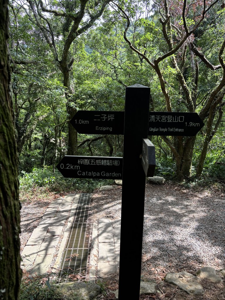 面天山、向天山、向天池_2921069