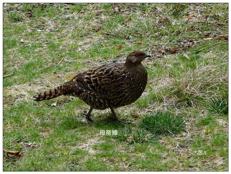 小雪山天池步道_1632227