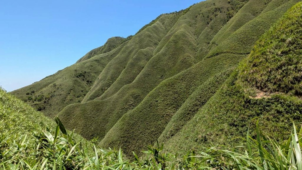 三角崙山、聖母登山（抹茶山）步道封面圖