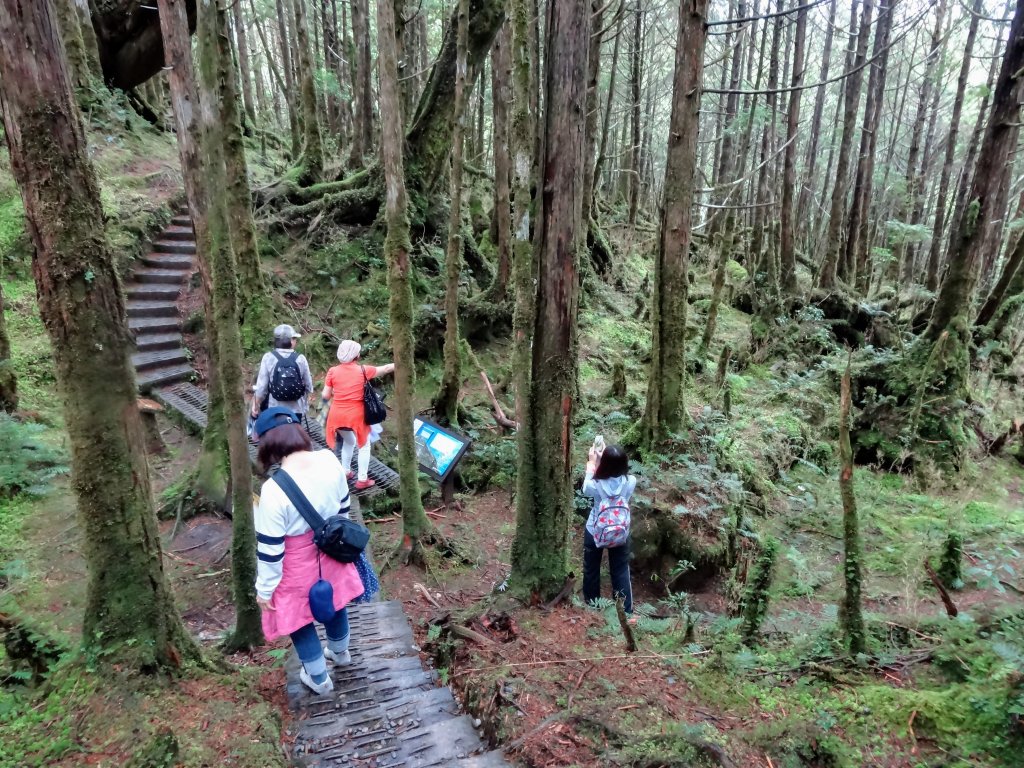 太平山翠峰湖環山步道_1743601