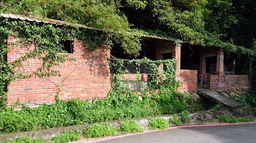 頂福巖森林步道(林口森林步道)_2283339