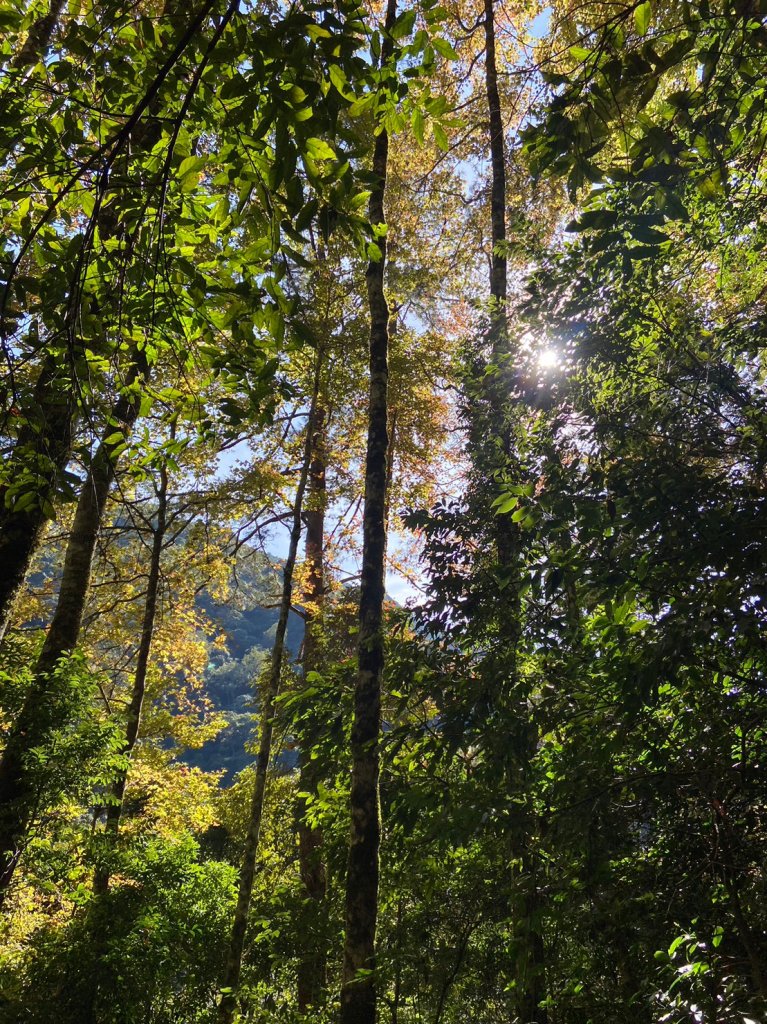 霞喀羅古道_1964617