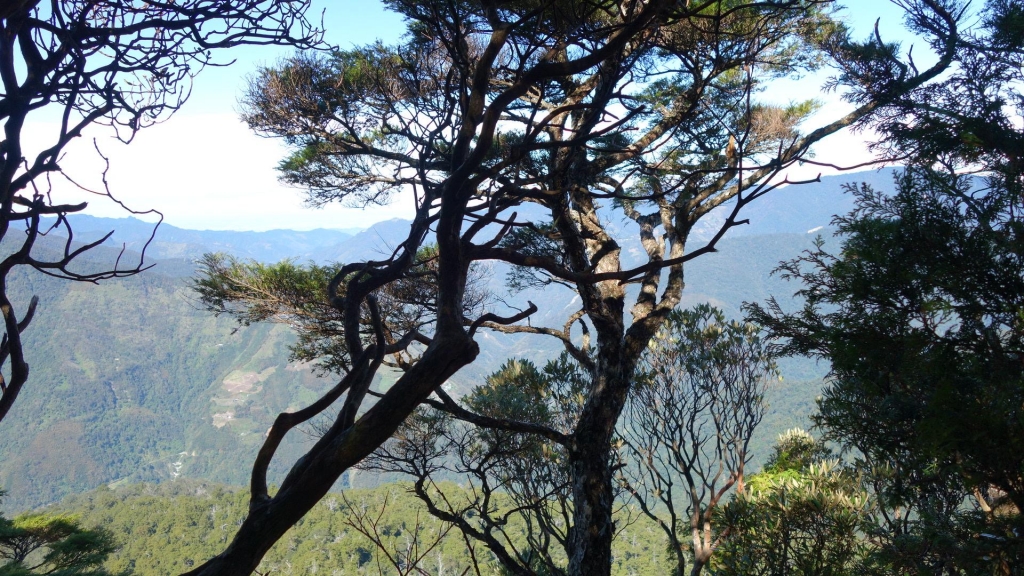 北橫復興雙障之-唐穗山_25026