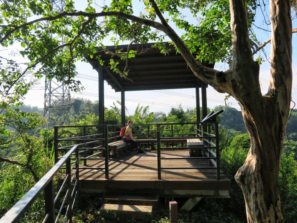 龍過脈森林步道 走一趟森.呼.吸_1453225