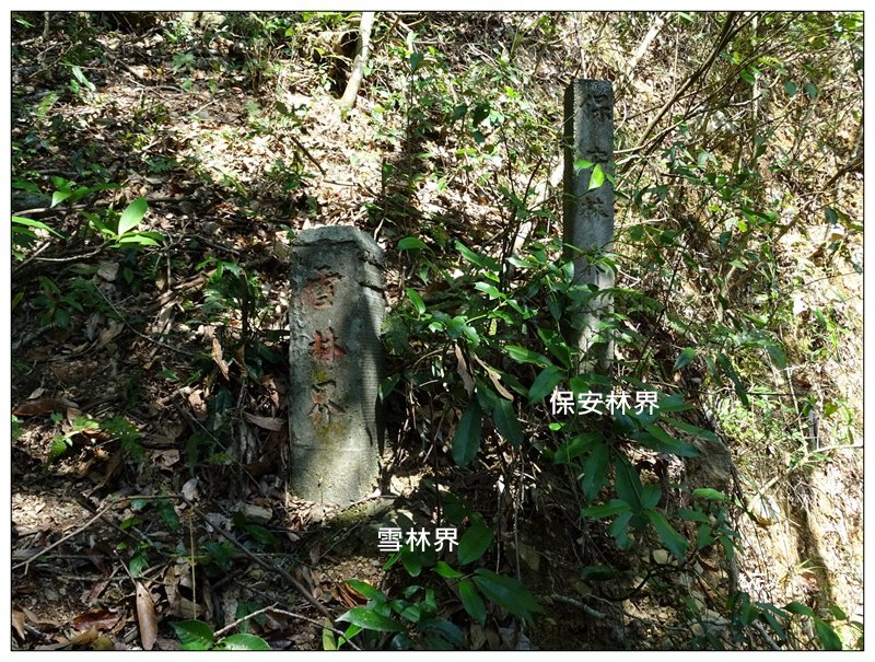 東卯山、東卯山西峰、東卯山西南峰 連走_2932779