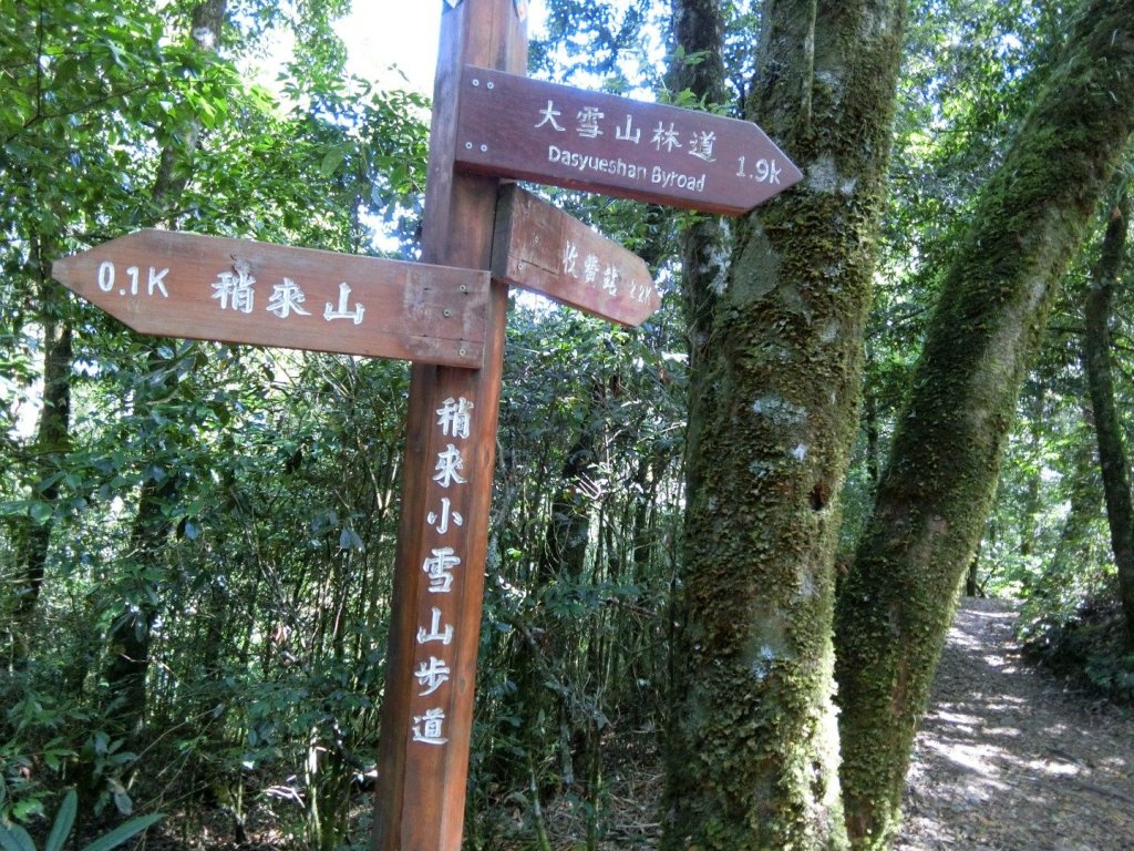 喜愛曬太陽又流汗又刺激又美麗_446228