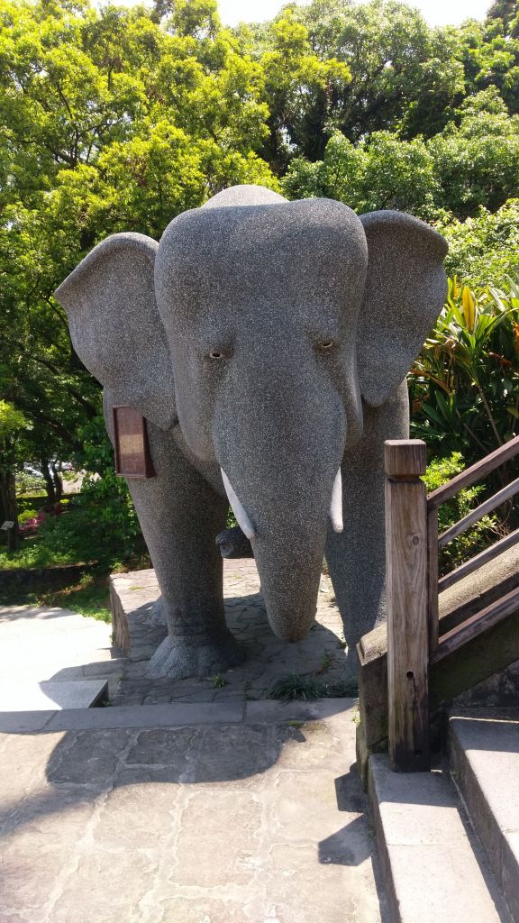 圓通寺登山步道_354729