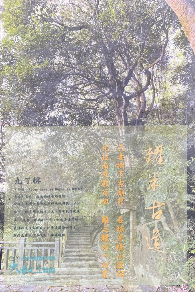 2024臺北大縱走第六七段_2447539