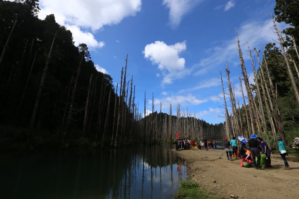 水樣森林 第一次在山裡過夜_659038