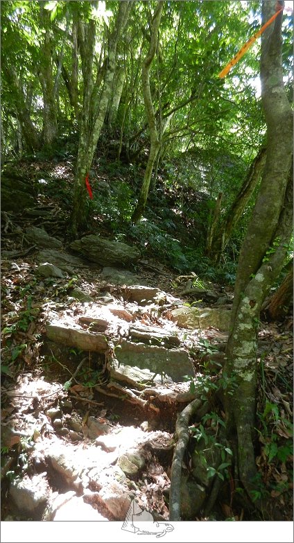 霞喀羅古道，白石駐在所野營_1007745