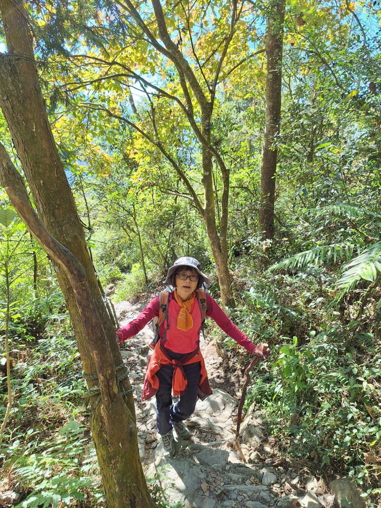 日湯真山20260104_2978563