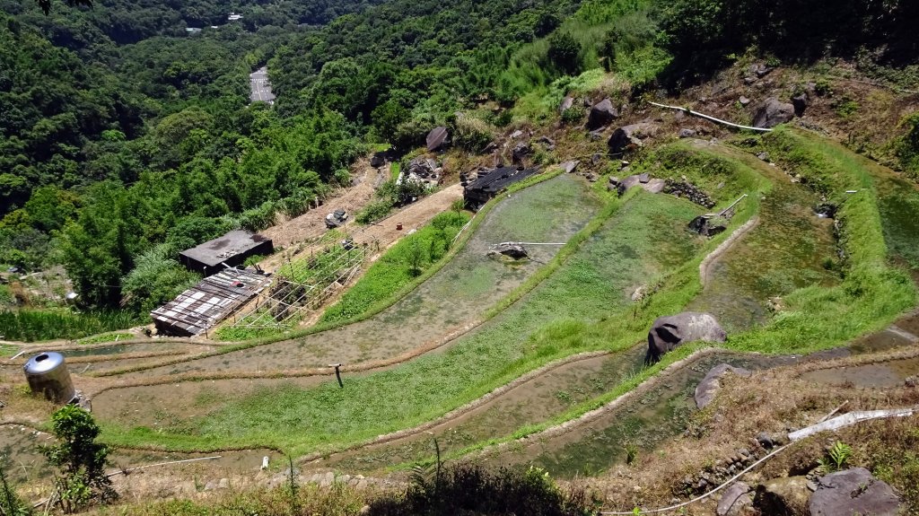 大崎頭梯田,坪頂古圳封面圖