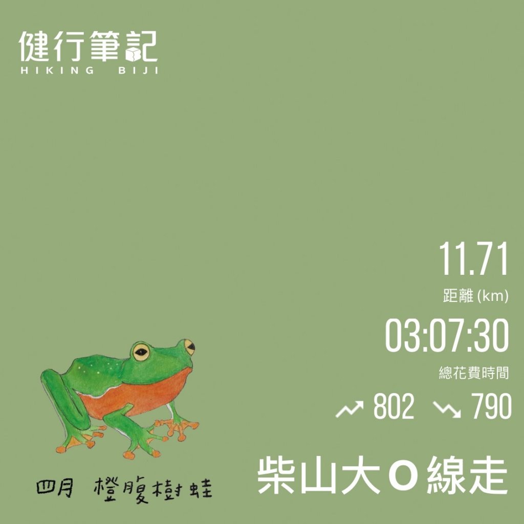 高雄～南壽山＋北柴山　大O線縱走_917971