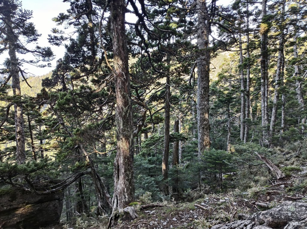 北一段(08/14)陶塞峰 2025_0906~13_2886953