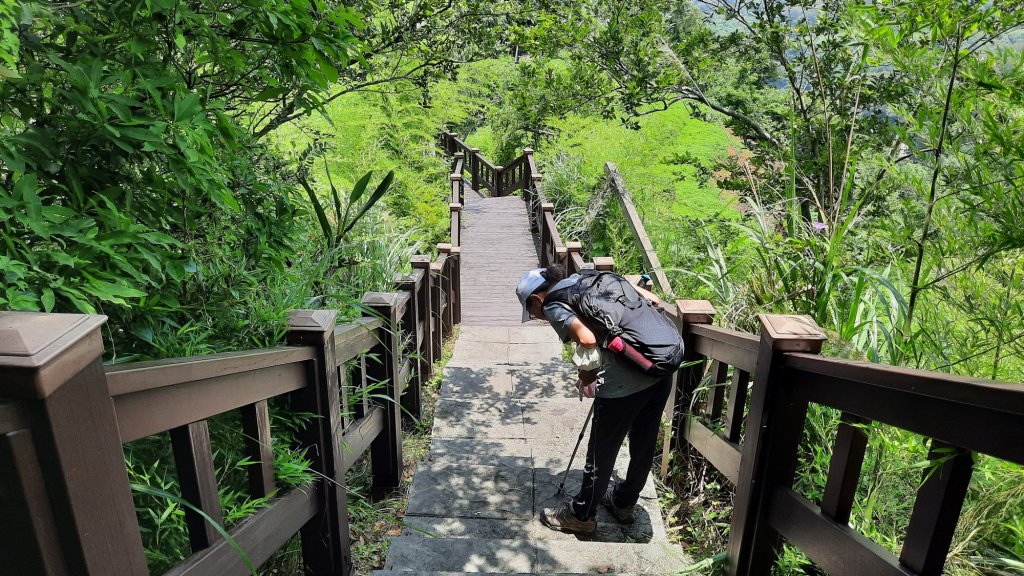 《台中》貓仔坑｜后里鳳凰山觀音山步道O繞20230528封面圖