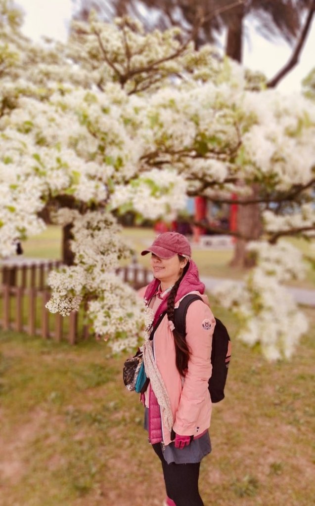 如夢似幻的四月雪-龍潭石管局-流蘇花盛開中_2748657