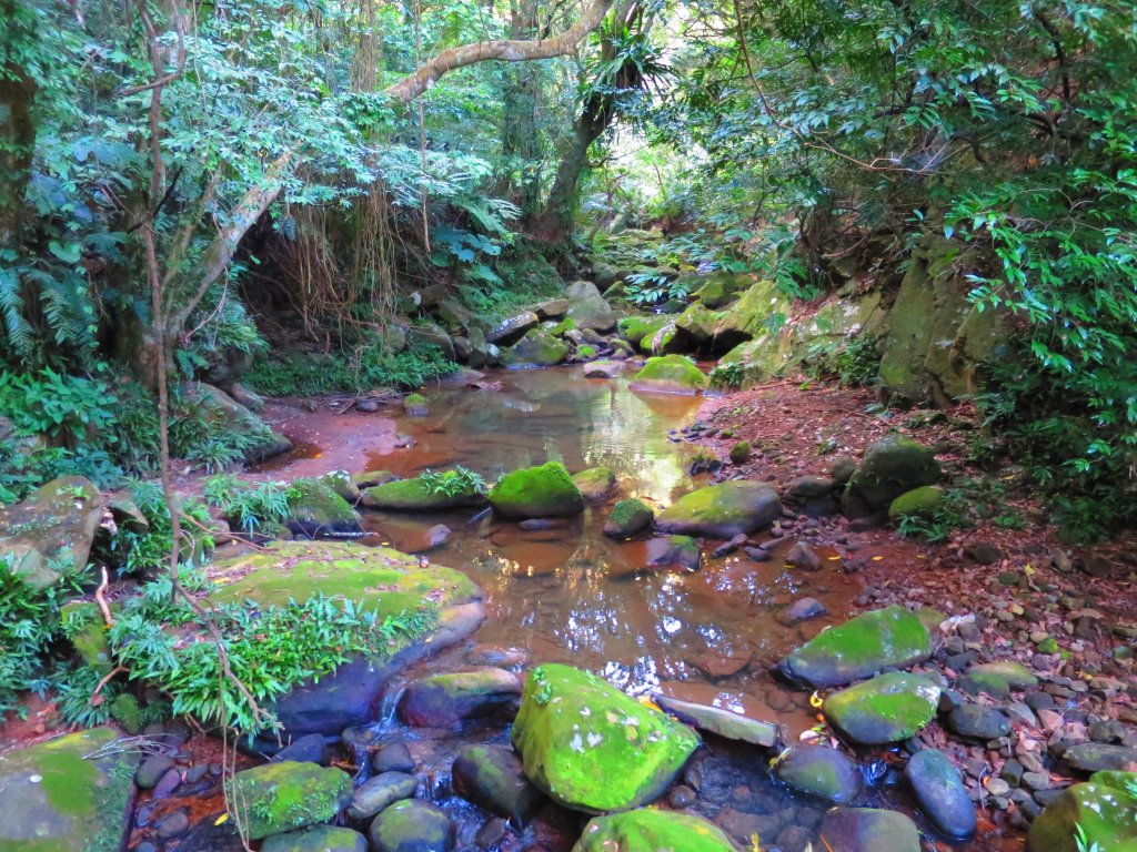 龍年首登的好選擇，鯉躍龍門，搭捷運來內湖爬三尖，鯉魚山、忠勇山、圓覺尖_2426551