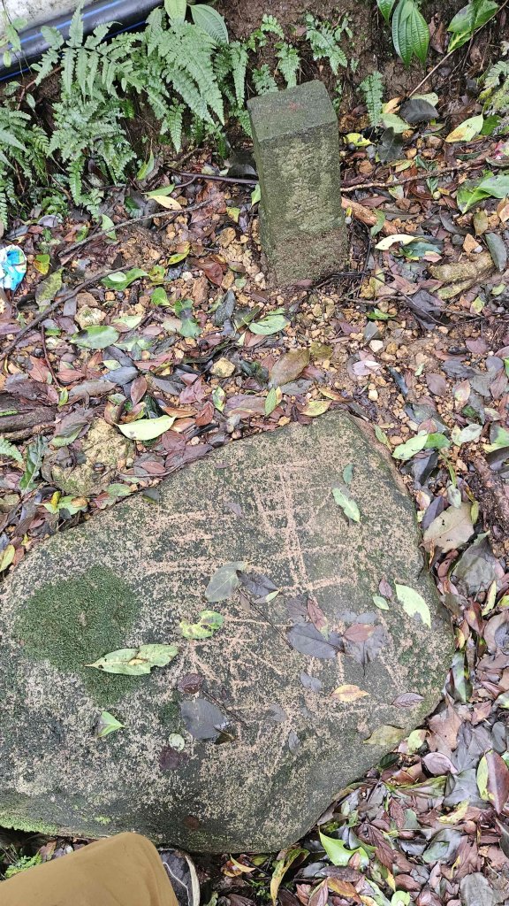 20251115冷水大山-頂中股山封面圖