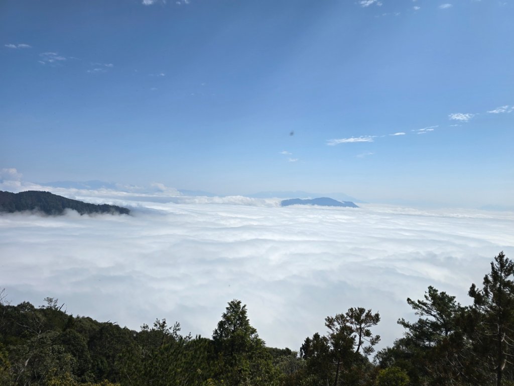 蝶夢八唐（裡冷登山口往返）八仙山出雲海下山順賞富士櫻_2722715