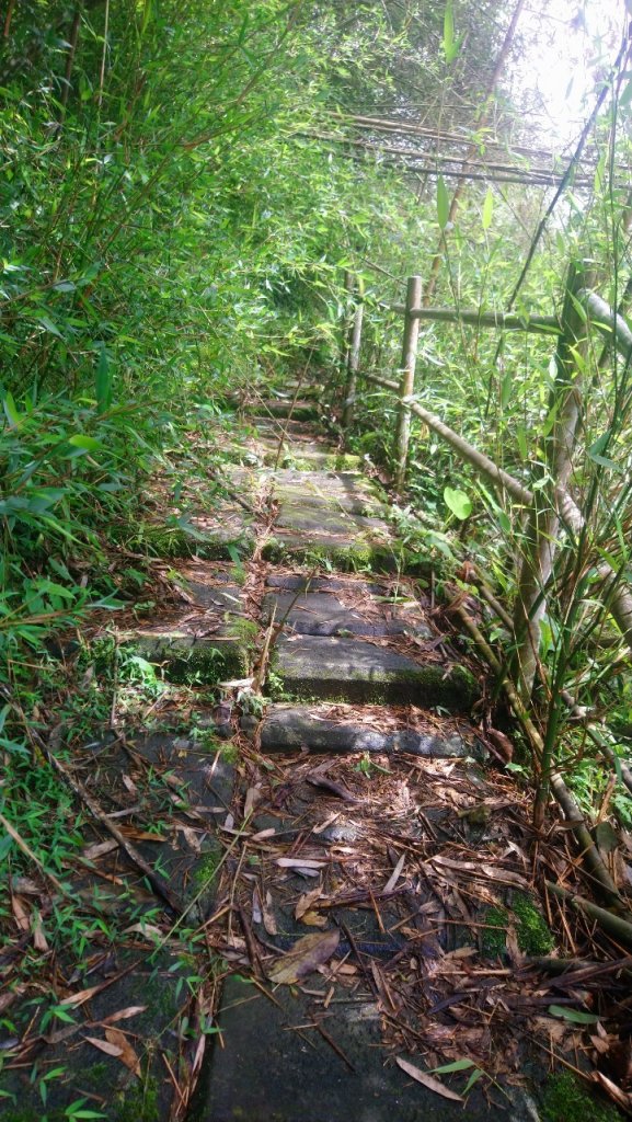 階梯多到不行又濕滑的大湖尖山_1733731