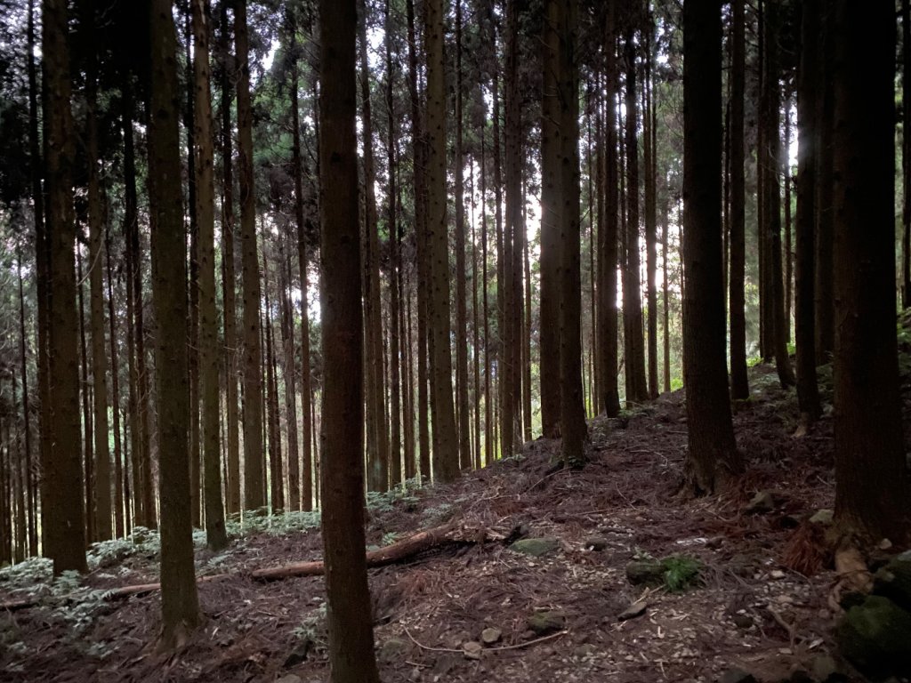 向天湖山_2604194